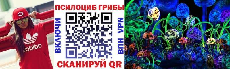 продажа наркотиков  Иноземцево  Псилоцибиновые грибы Magic Shrooms 